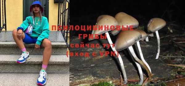 спиды Абинск