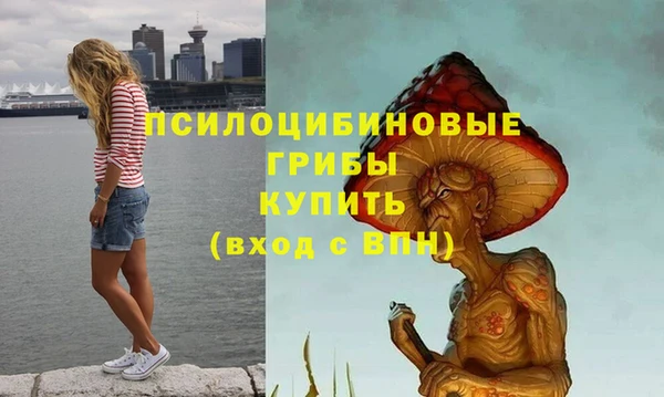 прущая мука Абаза