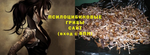 спиды Абинск