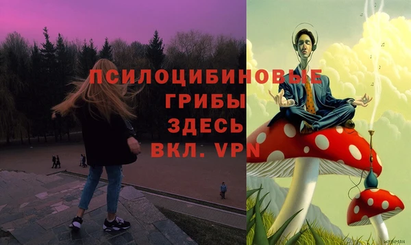 спиды Абинск