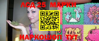 гидропоника Ярославль