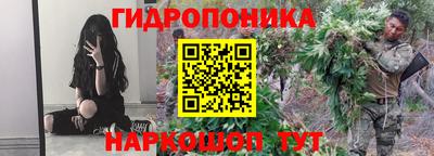 гидропоника Ярославль