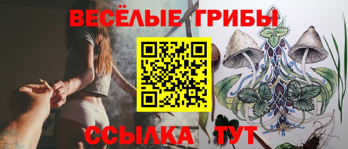 Стерлитамак  Псилоцибиновые грибы Psilocybe  Вход с VPN 